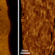 Illustration for article titled Scientists Invent Wonder Material That May Kill Tumors and Cure Diseases